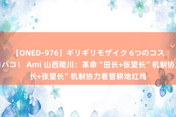 【ONED-976】ギリギリモザイク 6つのコスチュームでパコパコ！ Ami 山西陵川：革命“田长+张望长”机制协力看管耕地红线