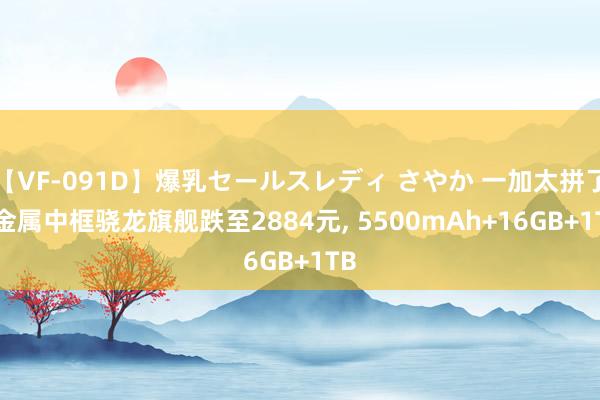 【VF-091D】爆乳セールスレディ さやか 一加太拼了, 金属中框骁龙旗舰跌至2884元, 5500mAh+16GB+1TB