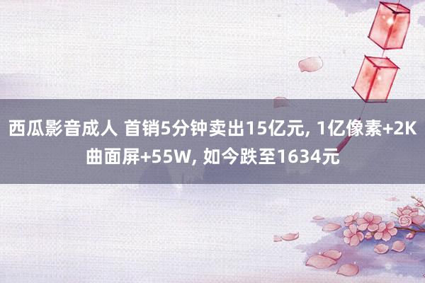 西瓜影音成人 首销5分钟卖出15亿元, 1亿像素+2K曲面屏+55W, 如今跌至1634元