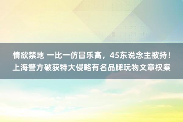 情欲禁地 一比一仿冒乐高，45东说念主被持！上海警方破获特大侵略有名品牌玩物文章权案