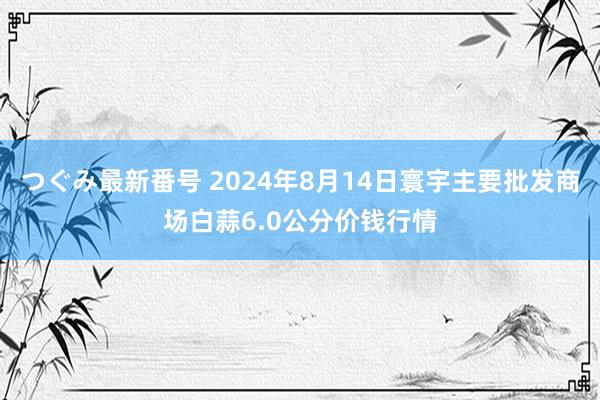 つぐみ最新番号 2024年8月14日寰宇主要批发商场白蒜6.0公分价钱行情