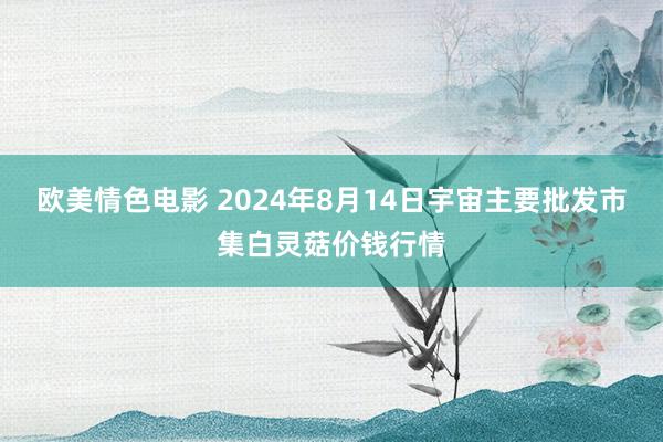 欧美情色电影 2024年8月14日宇宙主要批发市集白灵菇价钱行情