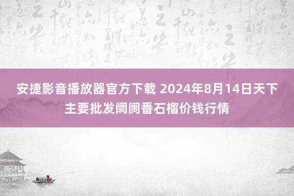 安捷影音播放器官方下载 2024年8月14日天下主要批发阛阓番石榴价钱行情