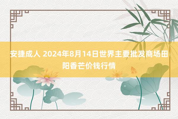 安捷成人 2024年8月14日世界主要批发商场田阳香芒价钱行情