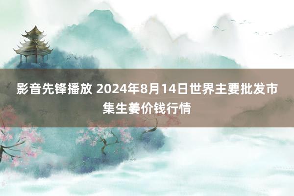 影音先锋播放 2024年8月14日世界主要批发市集生姜价钱行情