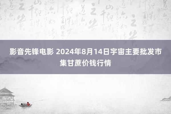 影音先锋电影 2024年8月14日宇宙主要批发市集甘蔗价钱行情