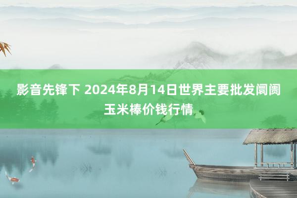 影音先锋下 2024年8月14日世界主要批发阛阓玉米棒价钱行情