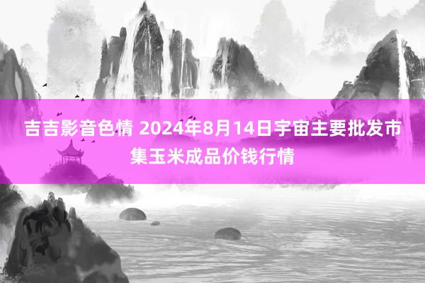 吉吉影音色情 2024年8月14日宇宙主要批发市集玉米成品价钱行情