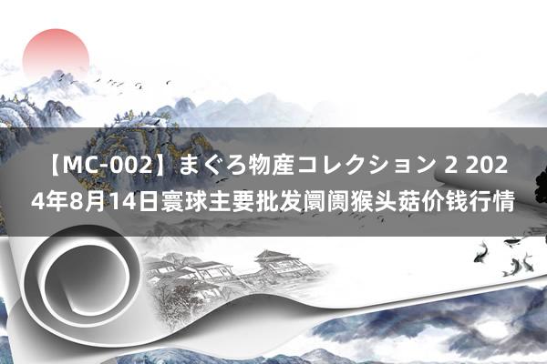 【MC-002】まぐろ物産コレクション 2 2024年8月14日寰球主要批发阛阓猴头菇价钱行情