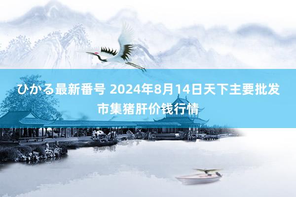 ひかる最新番号 2024年8月14日天下主要批发市集猪肝价钱行情