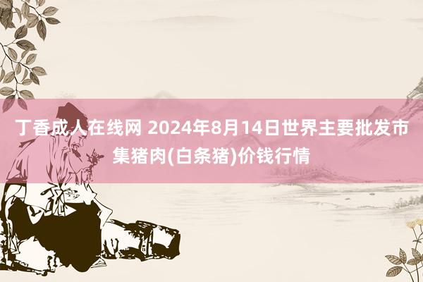 丁香成人在线网 2024年8月14日世界主要批发市集猪肉(白条猪)价钱行情