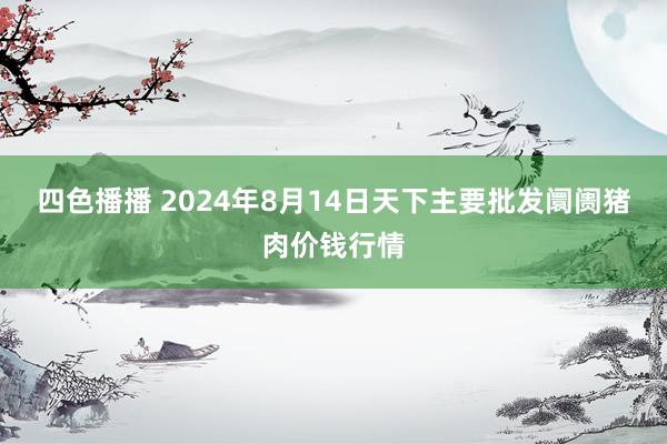 四色播播 2024年8月14日天下主要批发阛阓猪肉价钱行情