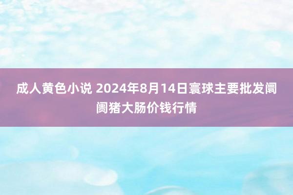 成人黄色小说 2024年8月14日寰球主要批发阛阓猪大肠价钱行情