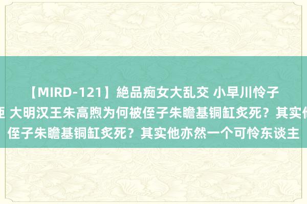 【MIRD-121】絶品痴女大乱交 小早川怜子 椎名ゆな ASUKA 乃亜 大明汉王朱高煦为何被侄子朱瞻基铜缸炙死？其实他亦然一个可怜东谈主