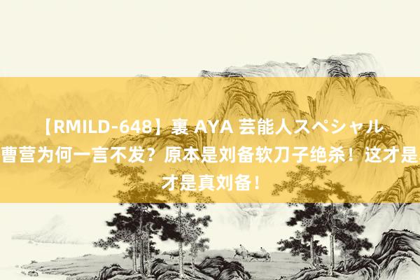 【RMILD-648】裏 AYA 芸能人スペシャル 徐庶进曹营为何一言不发？原本是刘备软刀子绝杀！这才是真刘备！