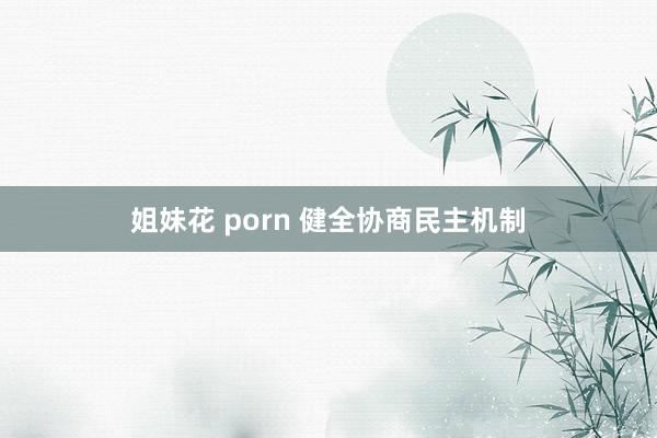 姐妹花 porn 健全协商民主机制