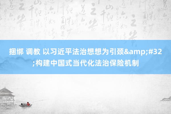 捆绑 调教 以习近平法治想想为引颈&#32;构建中国式当代化法治保险机制