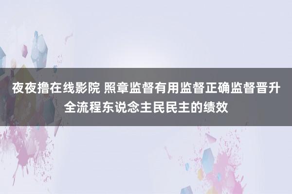 夜夜撸在线影院 照章监督有用监督正确监督晋升全流程东说念主民民主的绩效