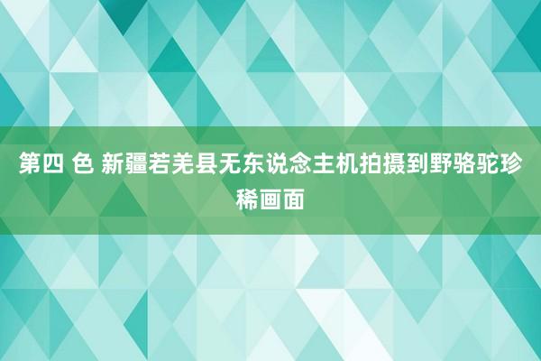 第四 色 新疆若羌县无东说念主机拍摄到野骆驼珍稀画面