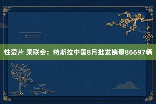 性爱片 乘联会：特斯拉中国8月批发销量86697辆