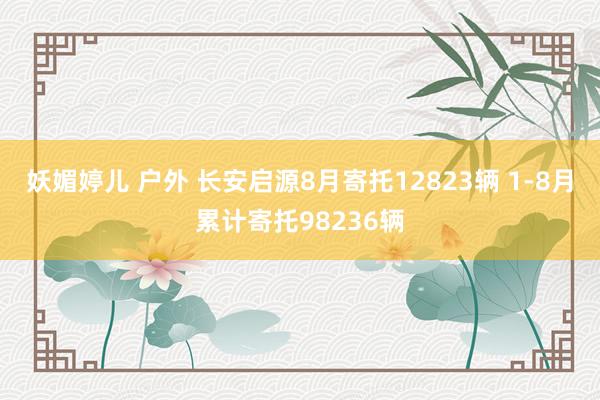 妖媚婷儿 户外 长安启源8月寄托12823辆 1-8月累计寄托98236辆