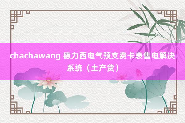 chachawang 德力西电气预支费卡表售电解决系统（土产货）