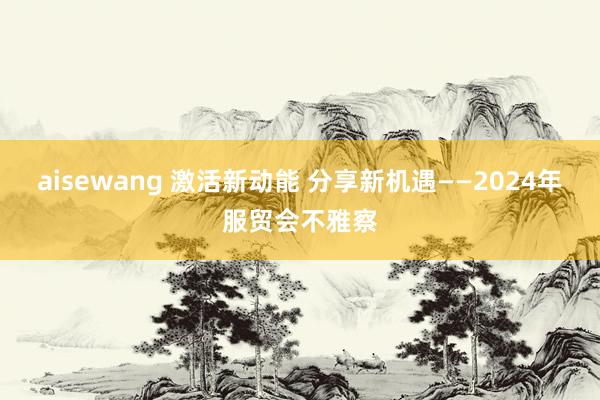 aisewang 激活新动能 分享新机遇——2024年服贸会不雅察