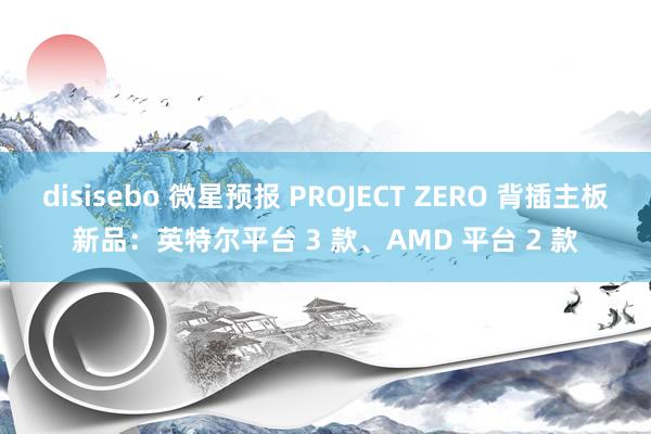 disisebo 微星预报 PROJECT ZERO 背插主板新品：英特尔平台 3 款、AMD 平台 2 款