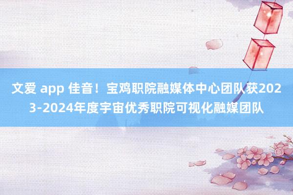 文爱 app 佳音！宝鸡职院融媒体中心团队获2023-2024年度宇宙优秀职院可视化融媒团队